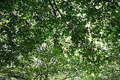 国风剧情冒险RPG《命定奇谭》4月23日正式发售 